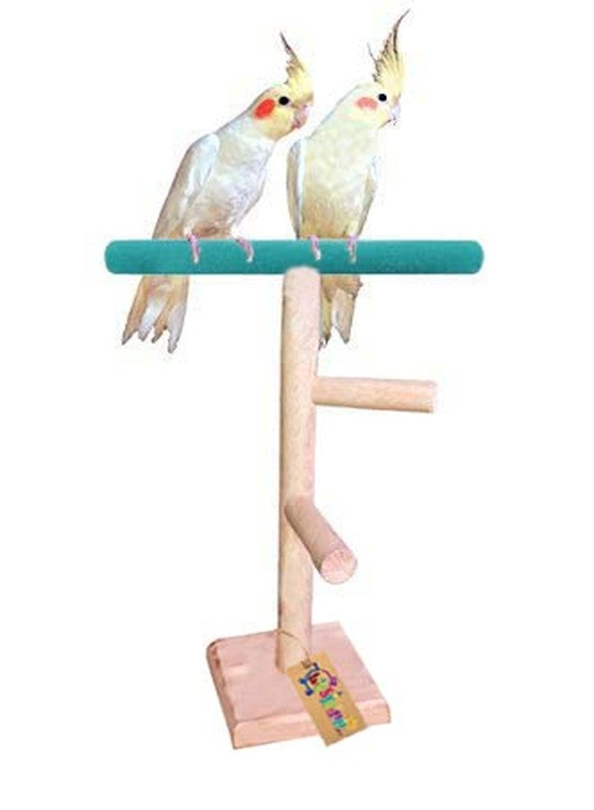 ويستيرن إرا حامل رمل للطيور من الخشب الطبيعي من العصر الغربي، مقاس 13 بوصة / 33 سم، مزود بدرجتين للعب والتمرين (قطعة واحدة) - Image 1